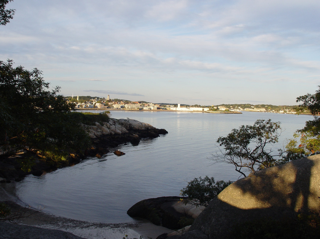 Stage Fort Park and Beach景点图片