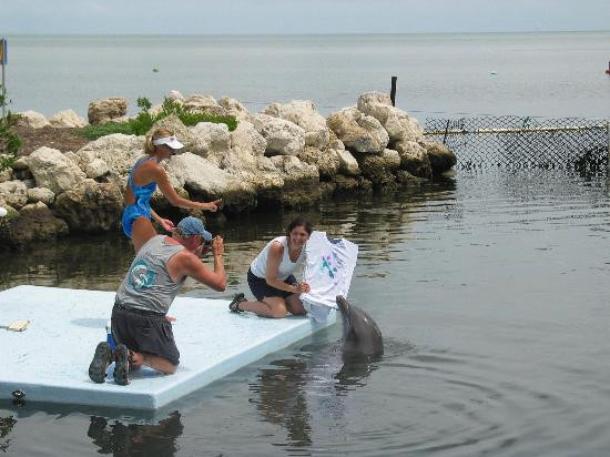 Dolphin Research Center-Grassy Key必去景点