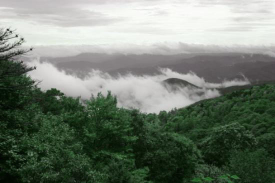 Grandfather Mountain景点图片