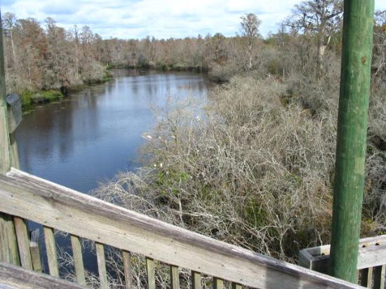 生菜湖地区公园-坦帕必去景点