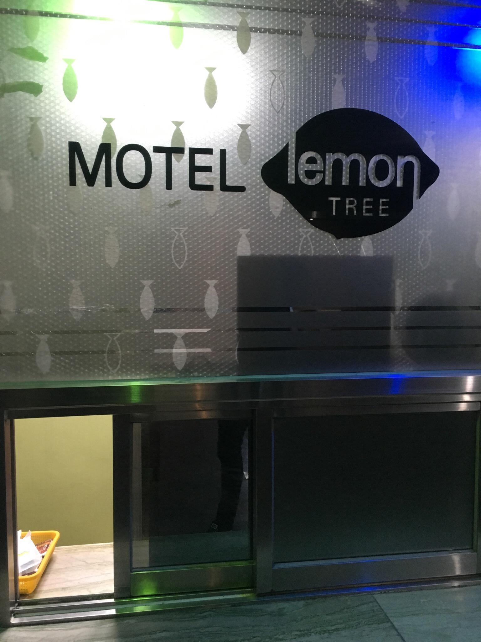 Motel Lemon Tree-官方
