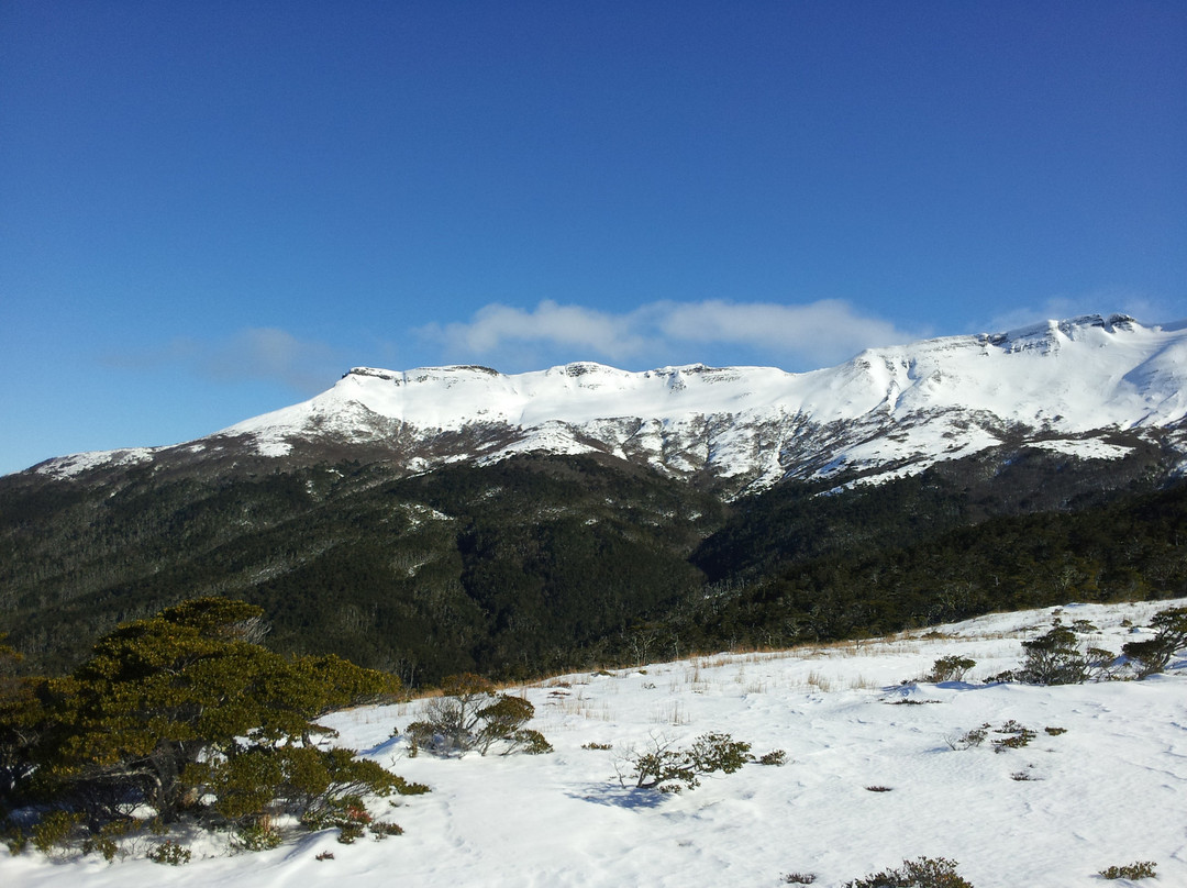 Mount Tarn-蓬塔阿雷纳斯必去景点