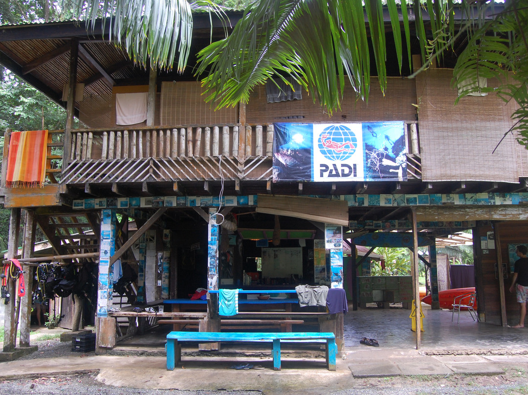 Punta Uva Dive Center景点图片