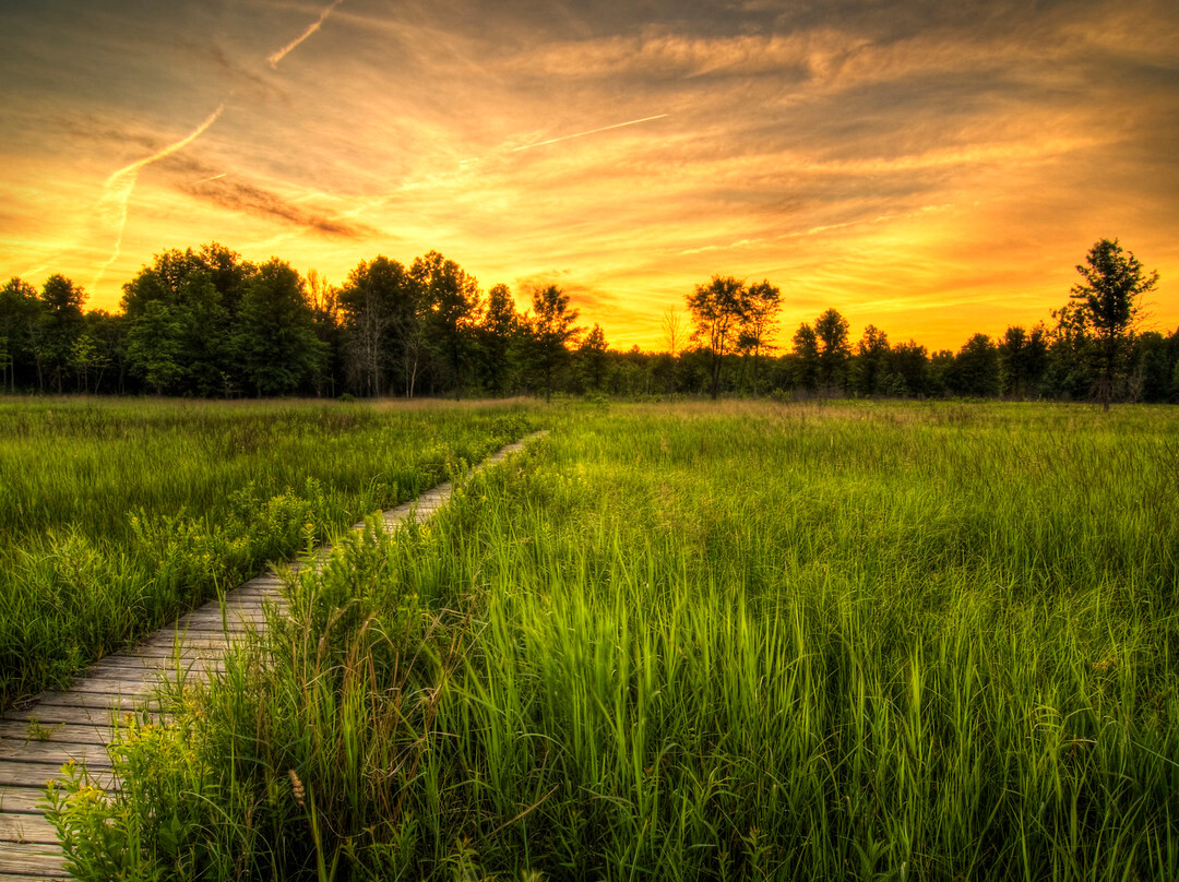 Irwin Prairie State Nature Preserve-托莱多必去景点