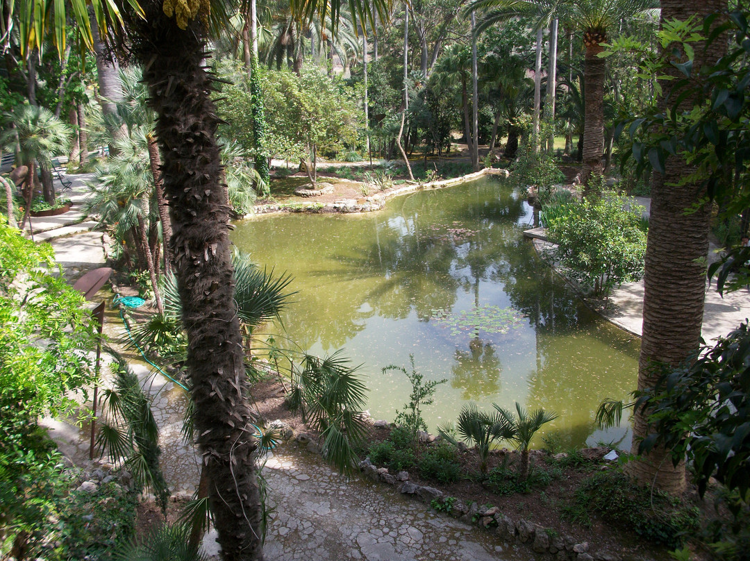 Jardines de Alfabia景点图片