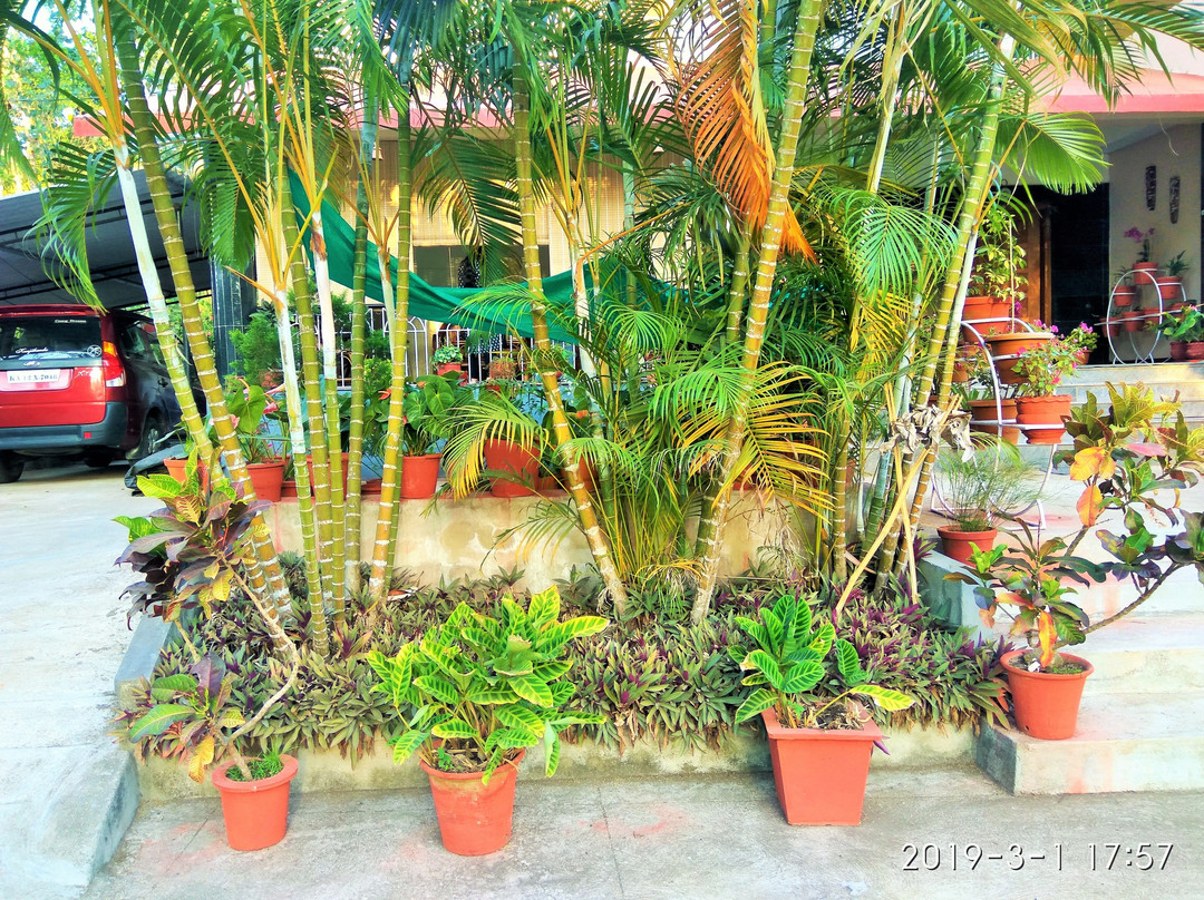 Coorg Dreams