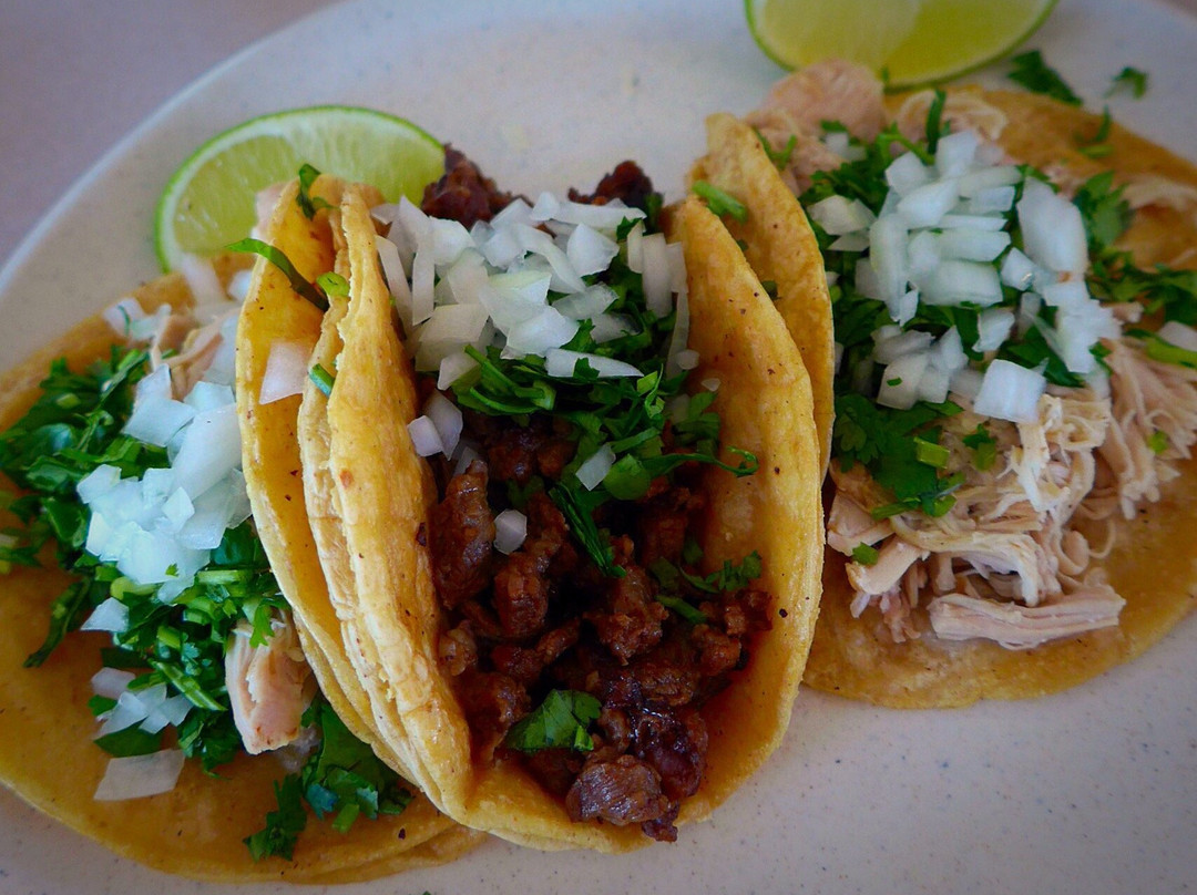 Wadsworth餐馆和美食-Taqueria Los Naranjos