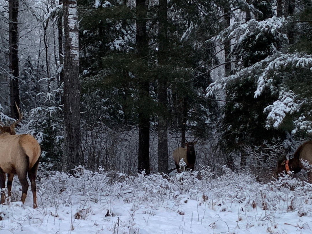 Chequamegon-Nicolet National Forest-Clam Lake必去景点