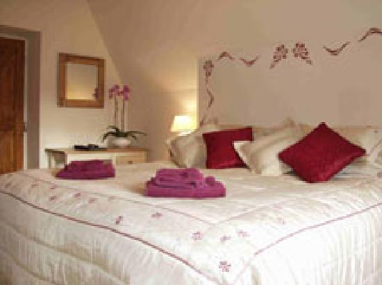 Crossover House Almondsbury-官方