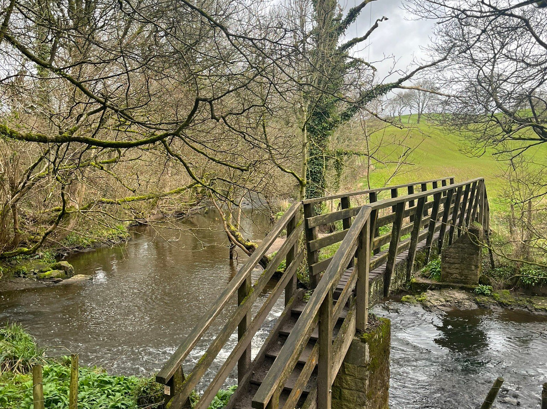 Yarrow Valley Country Park景点图片