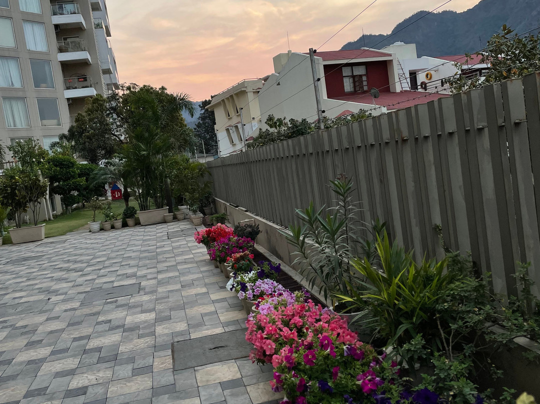 Golden Healing Journeys主图