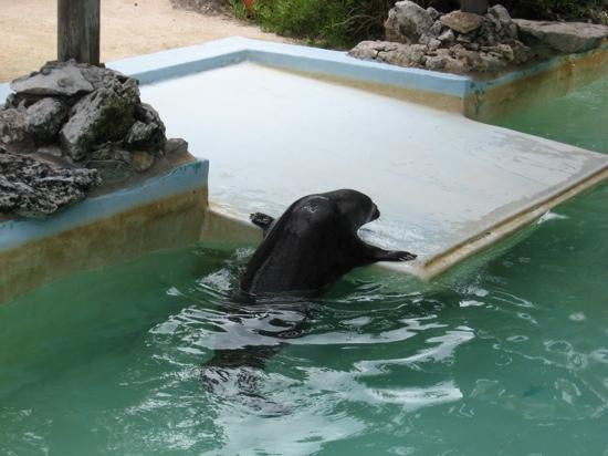 Bermuda Aquarium, Museum & Zoo-Hamilton Parish必去景点