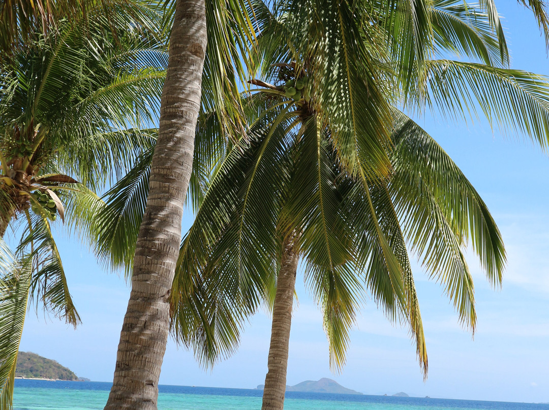 Malcapuya Island主图