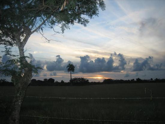 Crazy Wheels-拉罗马纳必去景点