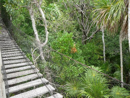 Jardín Botánico Dr. Alfredo Barrera Marin-从莫雷洛斯港必去景点