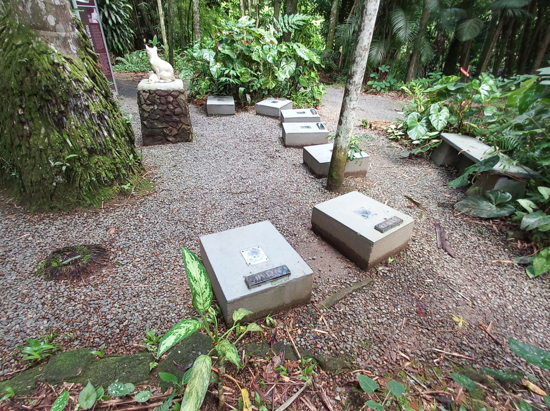 Cemiterio De Gatos-Blumenau必去景点