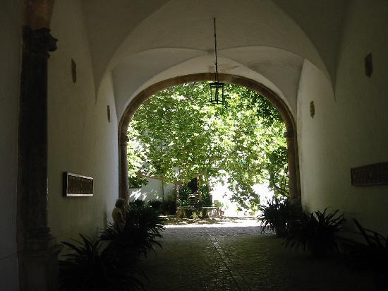 Jardines de Alfabia景点图片