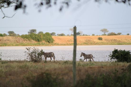 Julius T Safaris-蒙巴萨必去景点