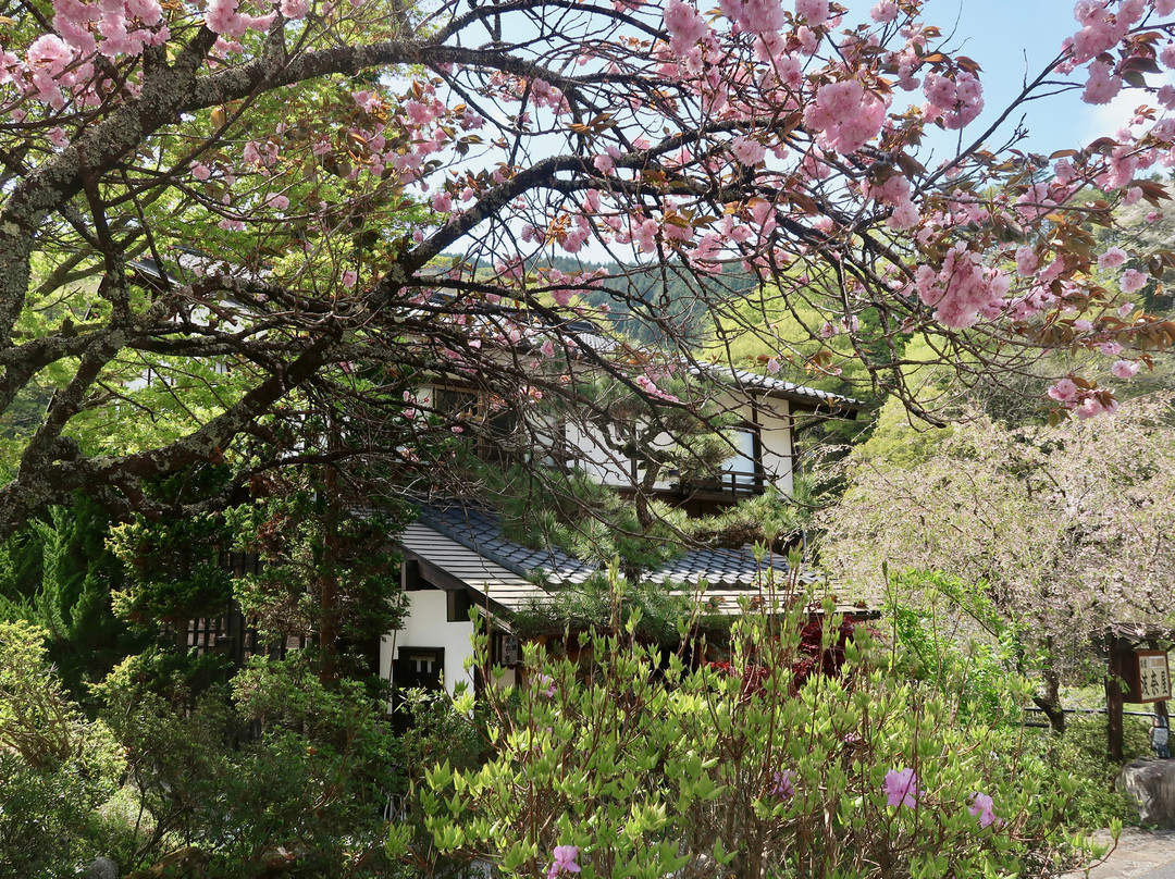 波奈屋日式旅馆主图