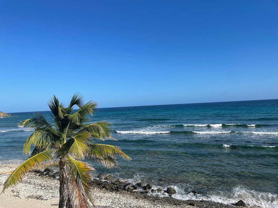 Grapetree Bay Hotel主图