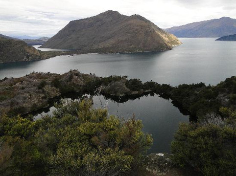 瓦纳卡生态之旅-瓦纳卡必去景点