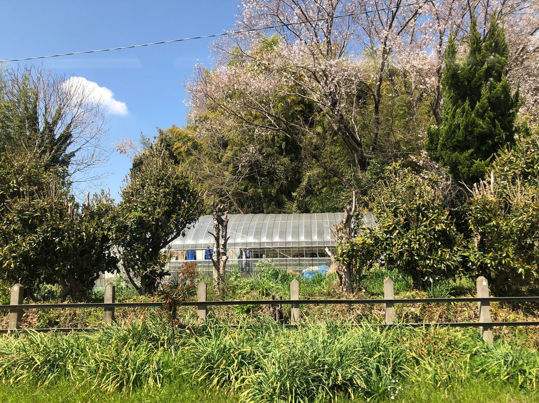 Iida Line-丰桥市必去景点