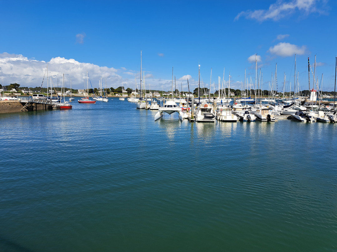 Port de la Trinité-sur-Mer-La Trinite-sur-Mer必去景点