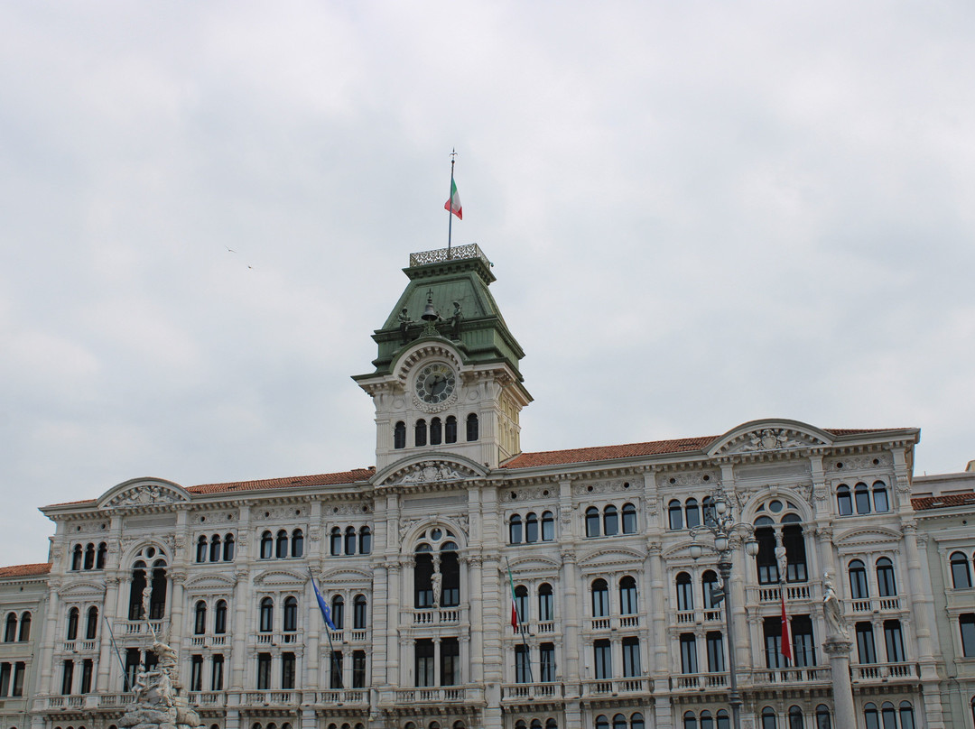 Palazzo del Municipio景点图片