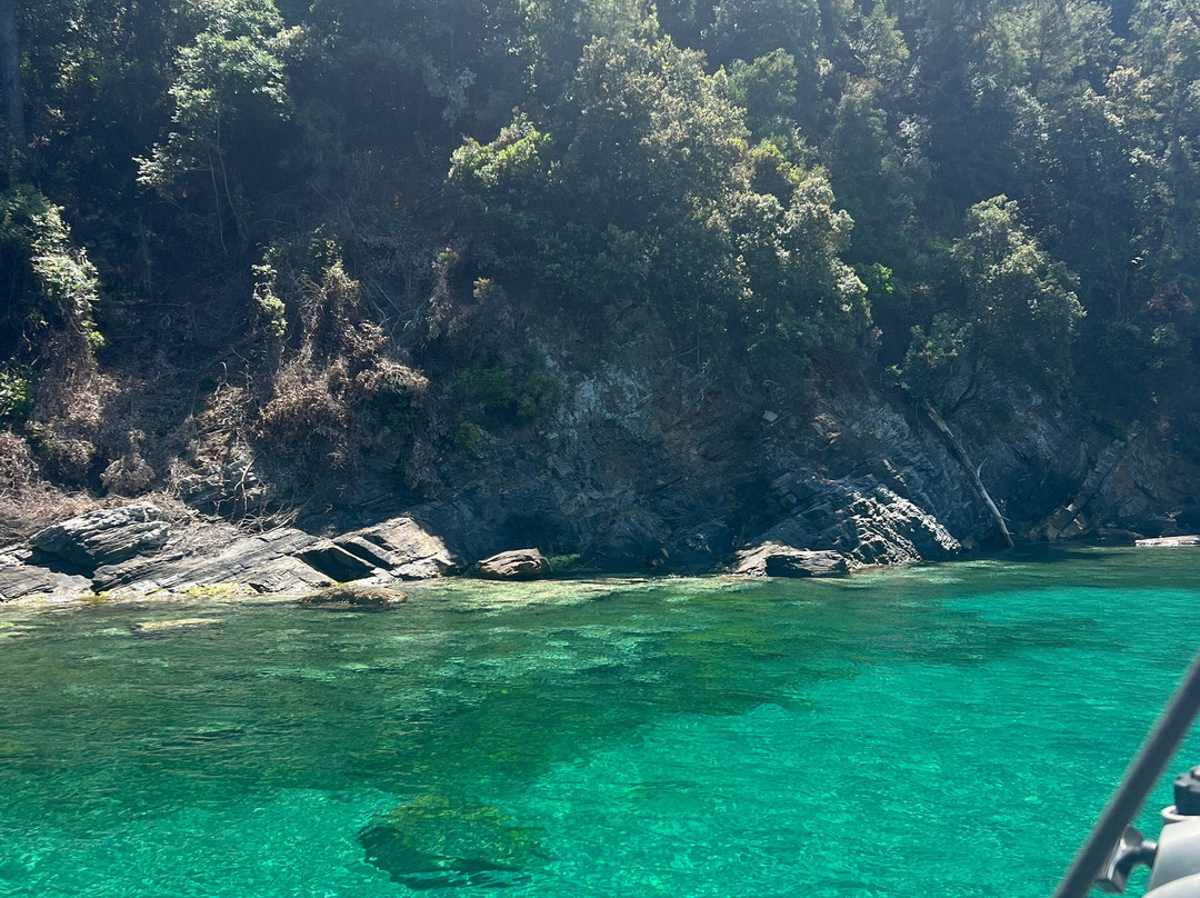 Thassos Sailing景点图片