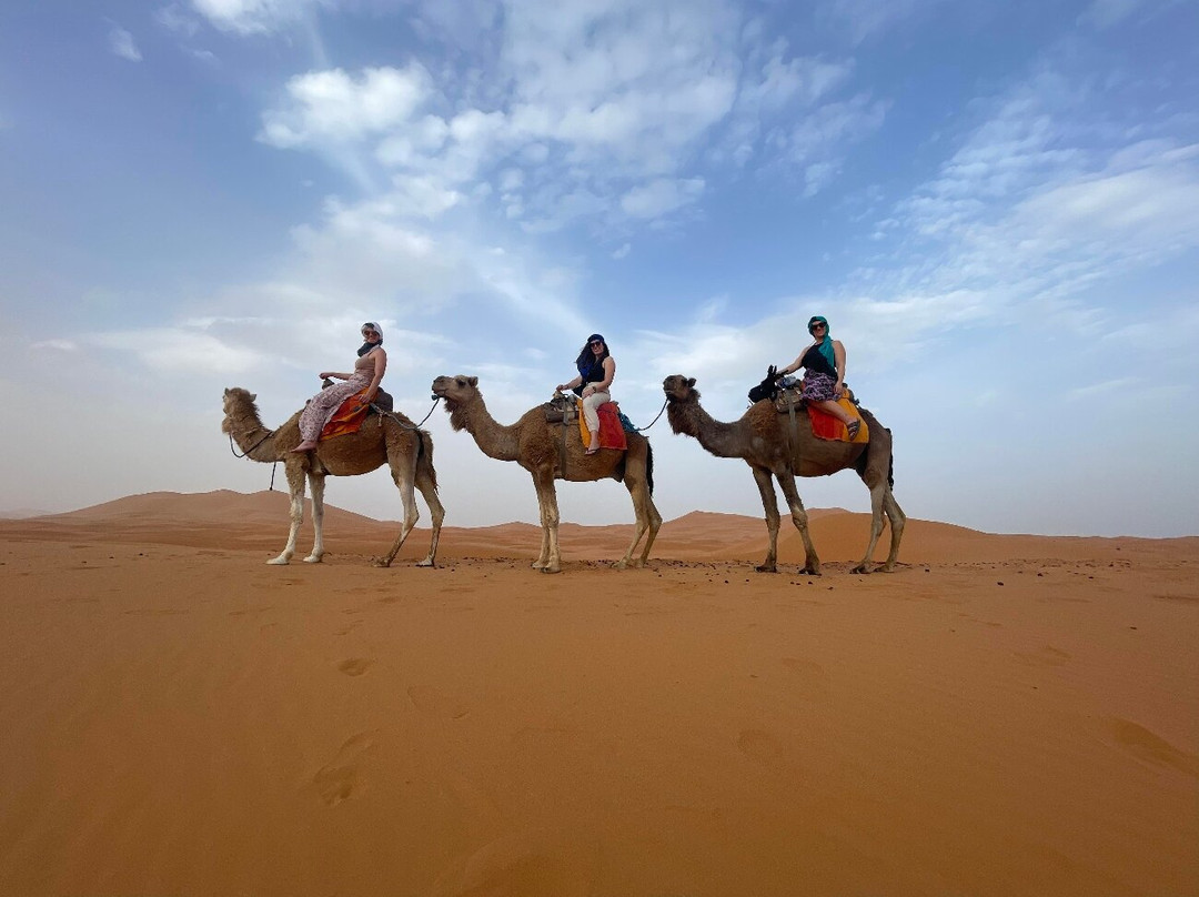 Morocco Camel Riding景点图片