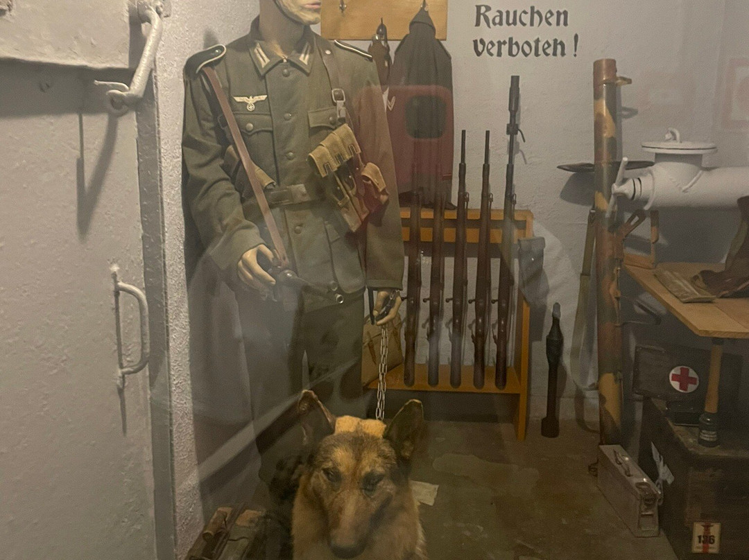 Bunker Museum景点图片