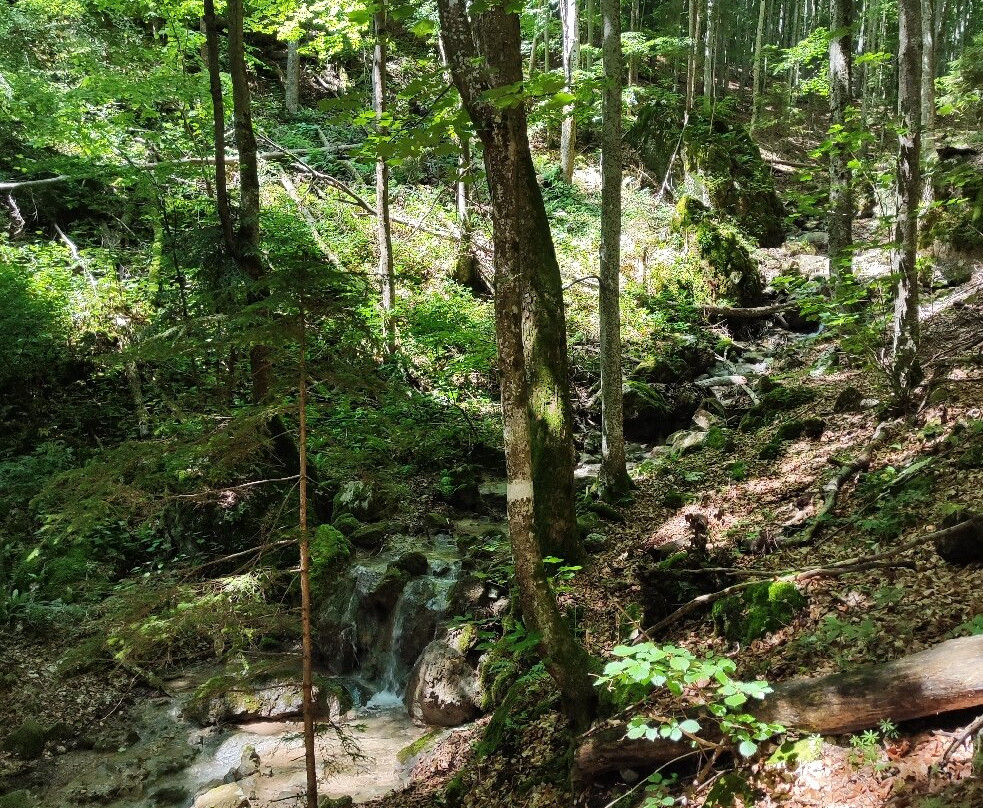 Steinwandklamm-Muggendorf必去景点