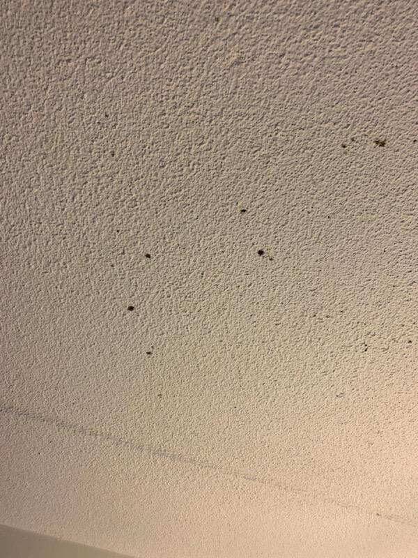 贝斯特韦斯特哈特福德酒店主图