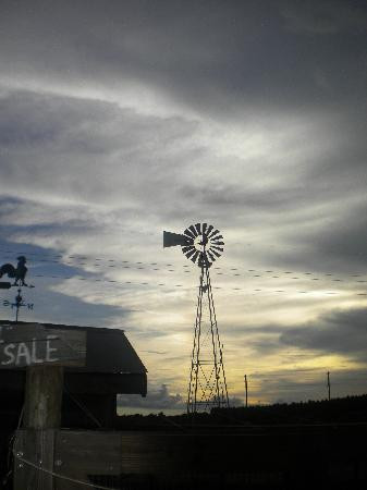 Showcase of Citrus-Clermont必去景点