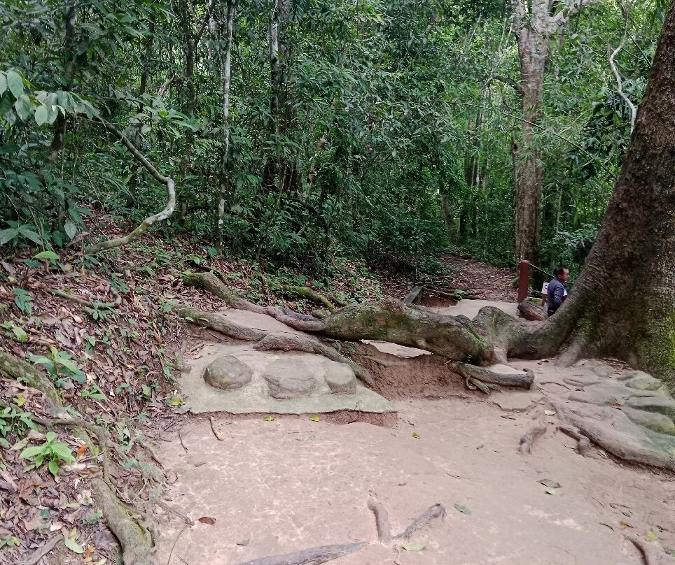 Haew Suwat Waterfall景点图片