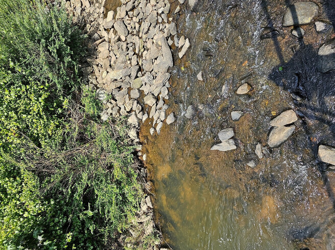 The Carrollton GreenBelt-卡罗尔顿必去景点