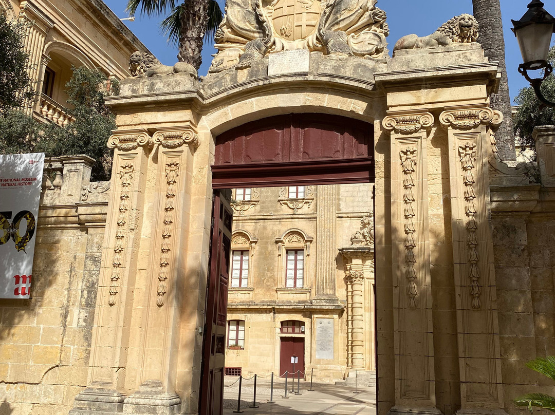 National Museum of Natural History-姆迪纳必去景点