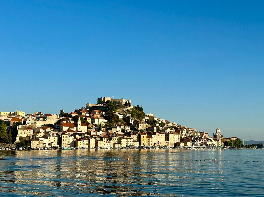 Pansion Skelin主图