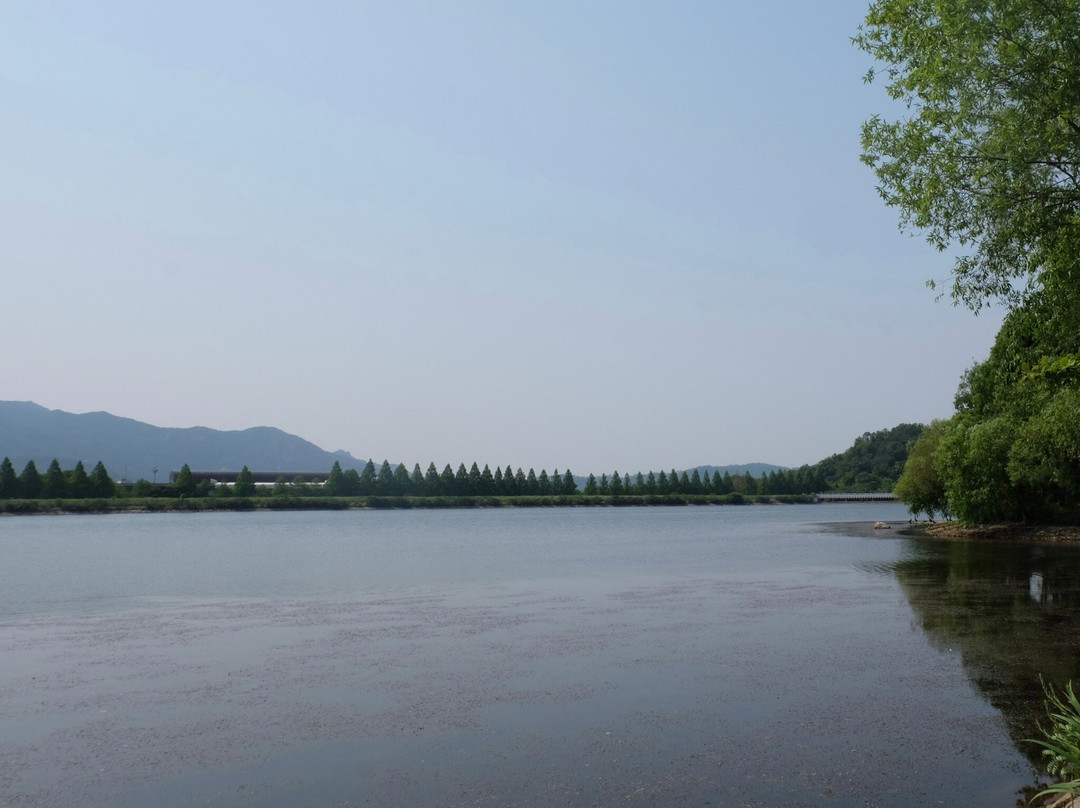 Seoul Grand Park-果川市必去景点