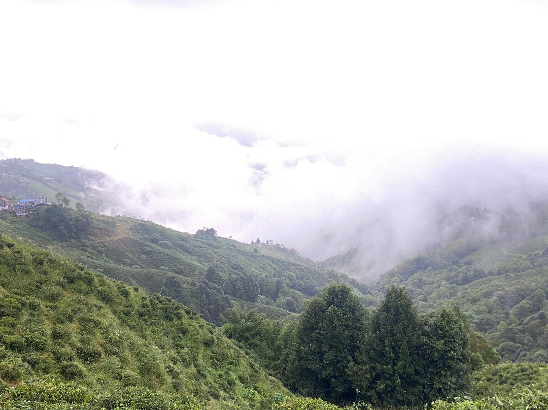 East Himalayan tours and travel-甘托克必去景点