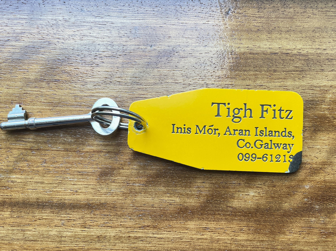 Tigh Fitz主图
