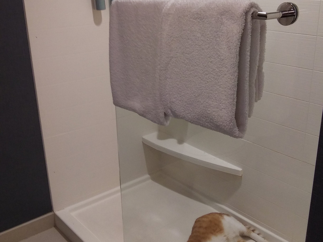 Residence Inn by Marriott Lancaster主图