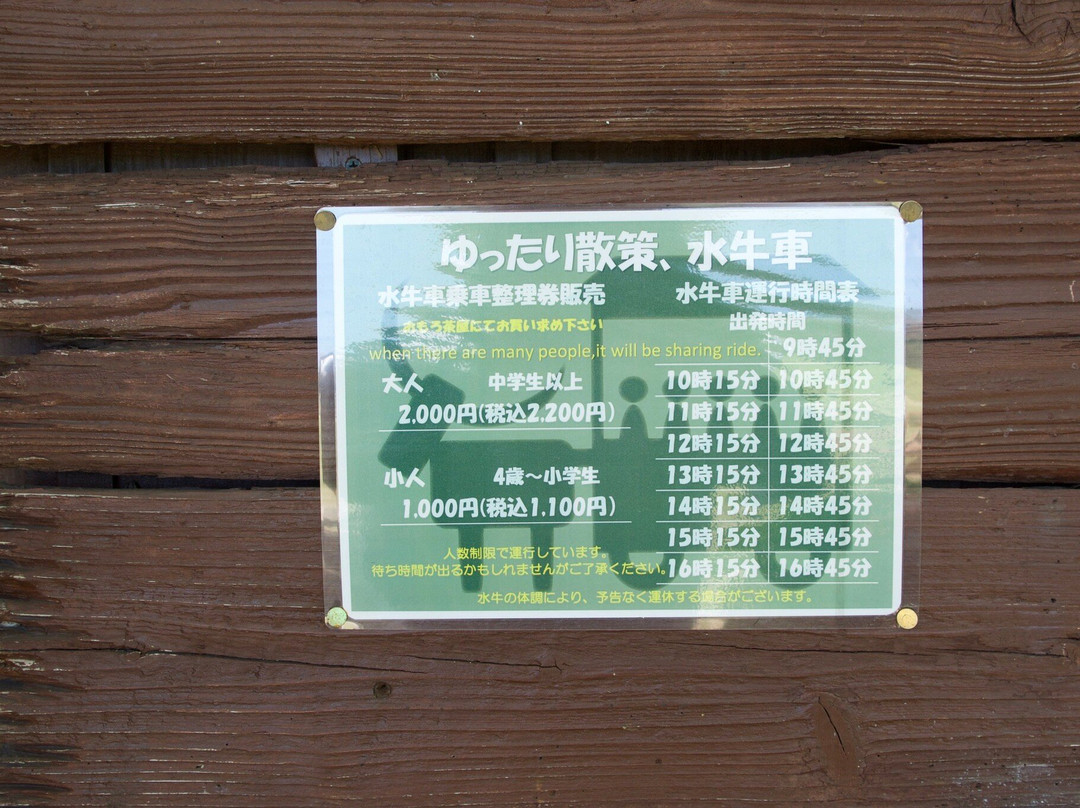 Bios之丘景点图片