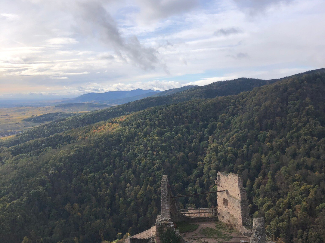 Randonnée des 3 châteaux de Ribeauvillé-里博维尔必去景点