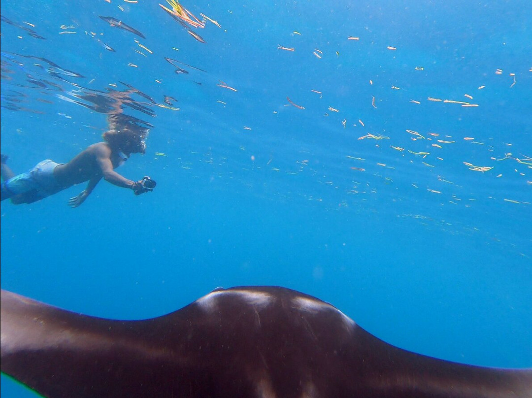 Endheri Dive Center景点图片