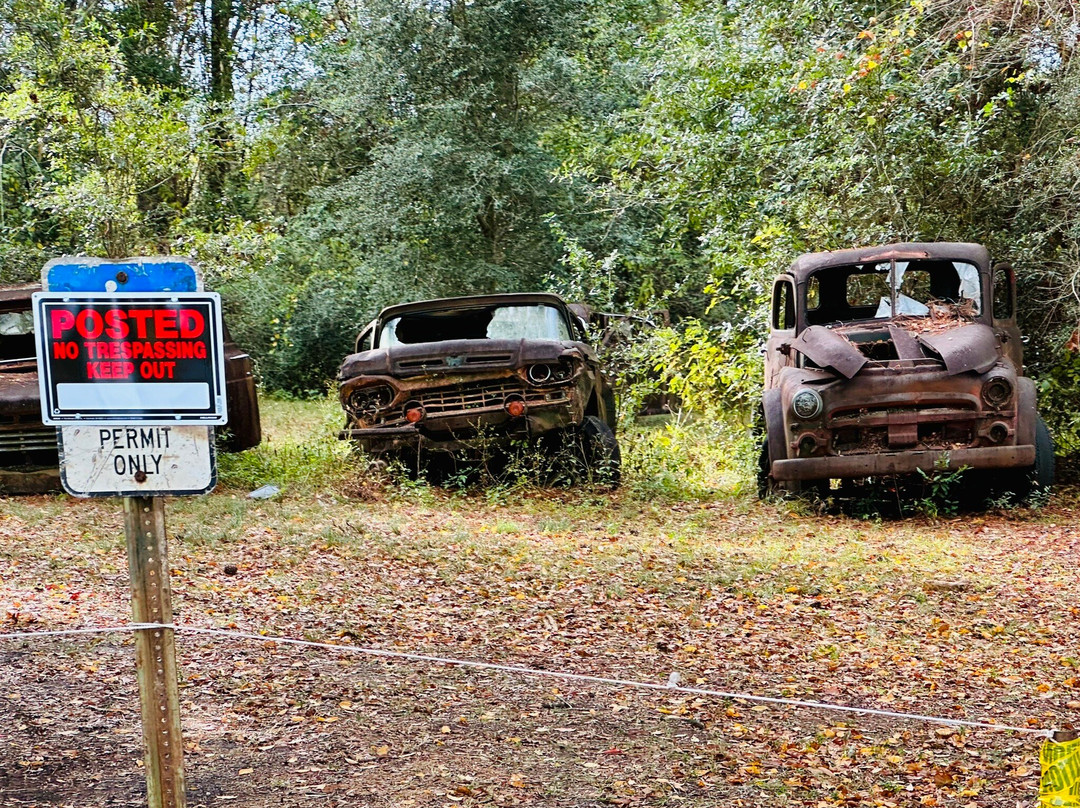 Roadside Rusted Ford Trucks-Crawfordville必去景点
