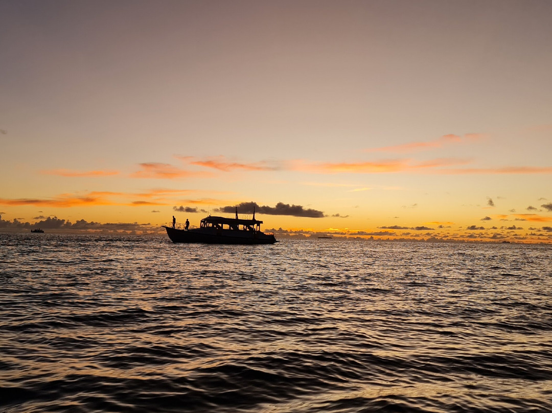 Seginy Seaview主图