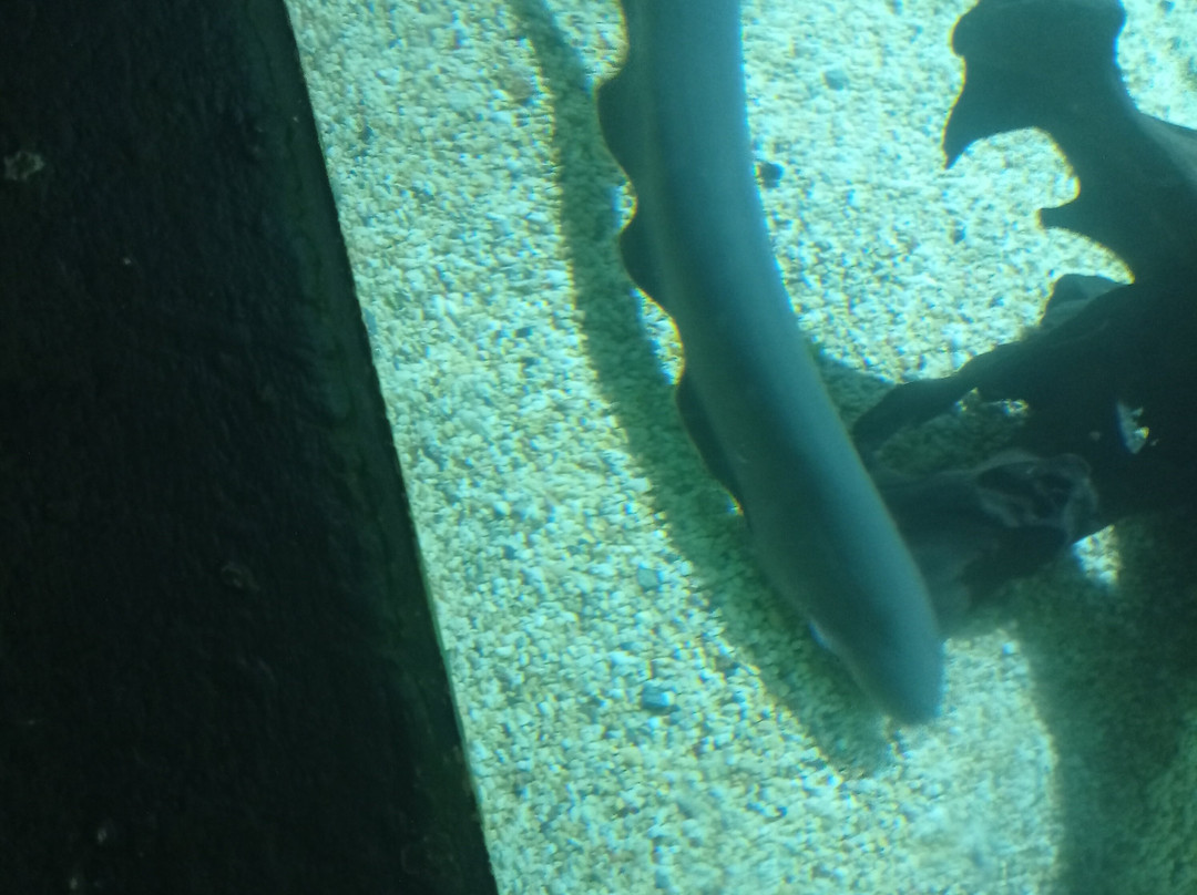 Bioparque Los Ocarros-比亚维森西奥必去景点