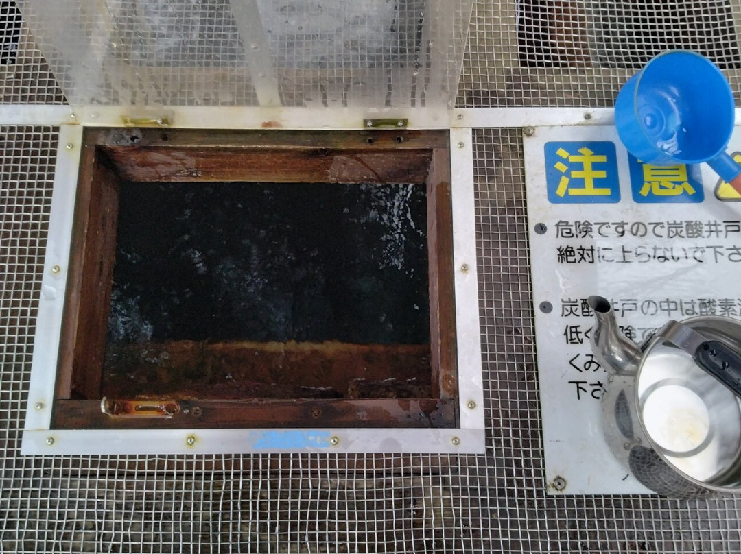 Oshio Natural Carbonated Water景点图片