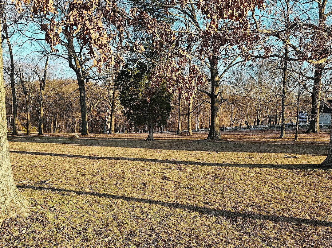 Broad Creek Cemetery-Street必去景点